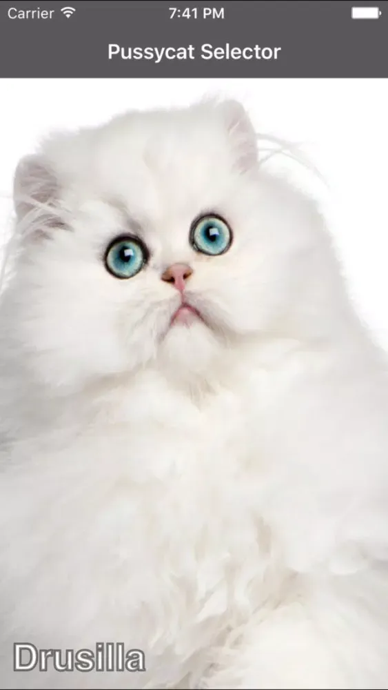 Stroke the Pussycat应用截图