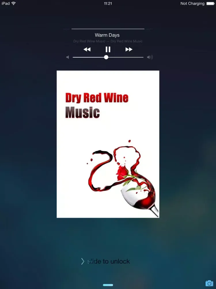 Love Music Player for Drink Dry Red Wine Free HD - Listen to Make Romantic iPad 应用截图