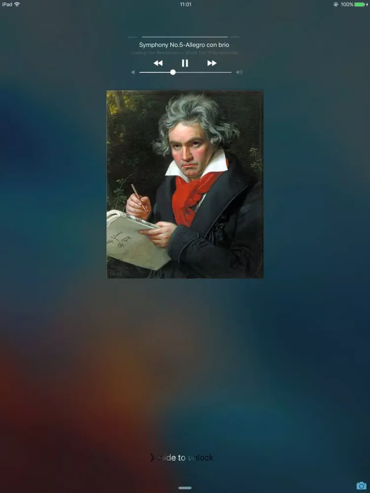 top 10 symphony pro collection - classical music iPad  स्क्रीनशॉट