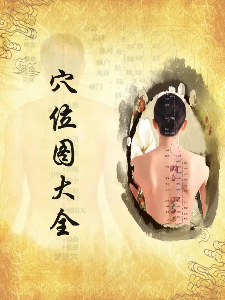 人体穴位图解按摩大全免费版HD 家庭自我保健中医经络养生与健康专家 iPad  スクリーンショット