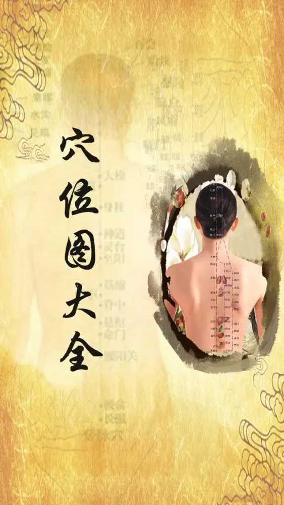 人体穴位图解按摩大全免费版HD 家庭自我保健中医经络养生与健康专家 スクリーンショット