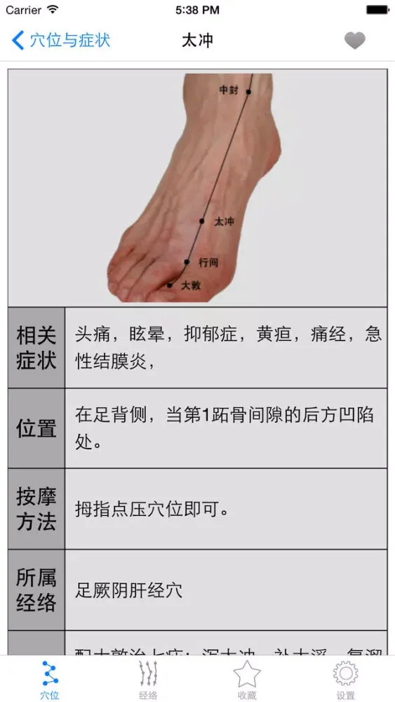 人体穴位图解按摩大全免费版HD 家庭自我保健中医经络养生与健康专家 スクリーンショット