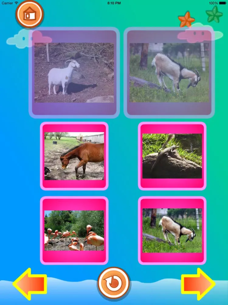 Toddler - Animals for kids iPad  Ekran Görüntüleri