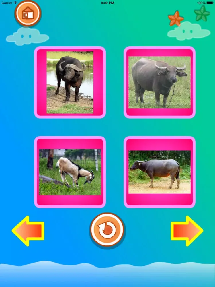 Toddler - Animals for kids iPad  Ekran Görüntüleri