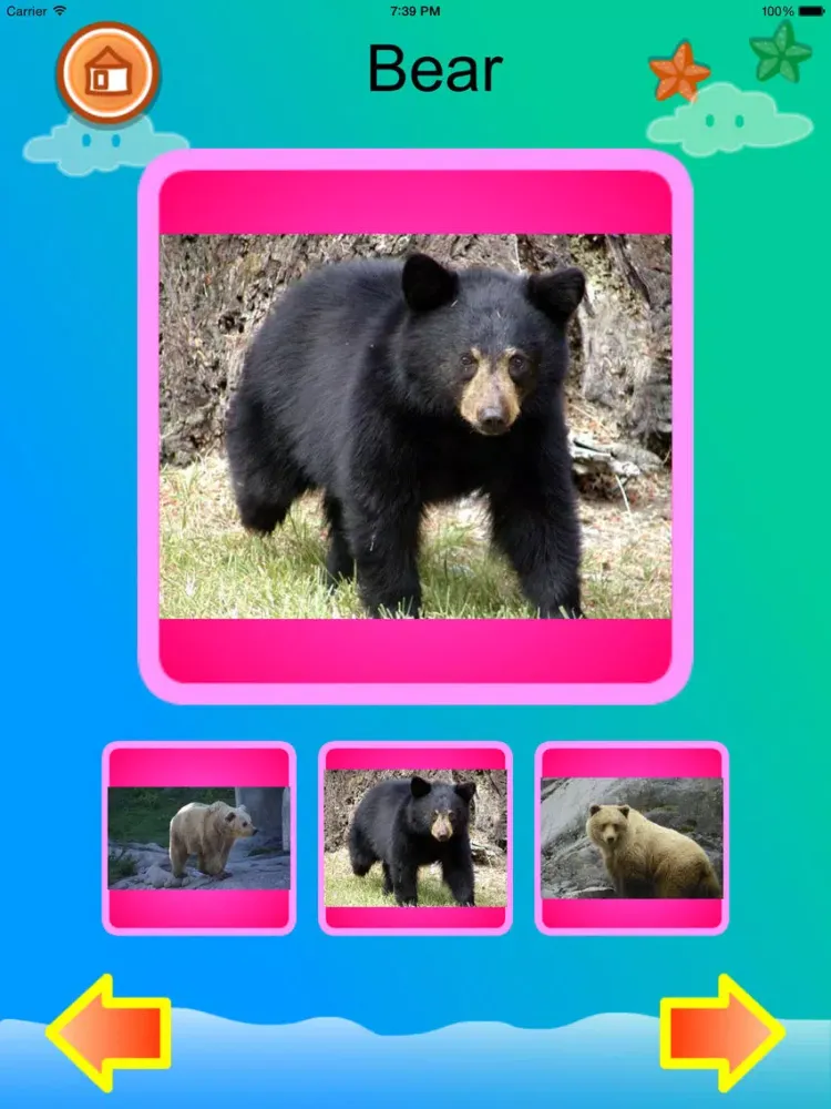 Toddler - Animals for kids iPad  Ekran Görüntüleri