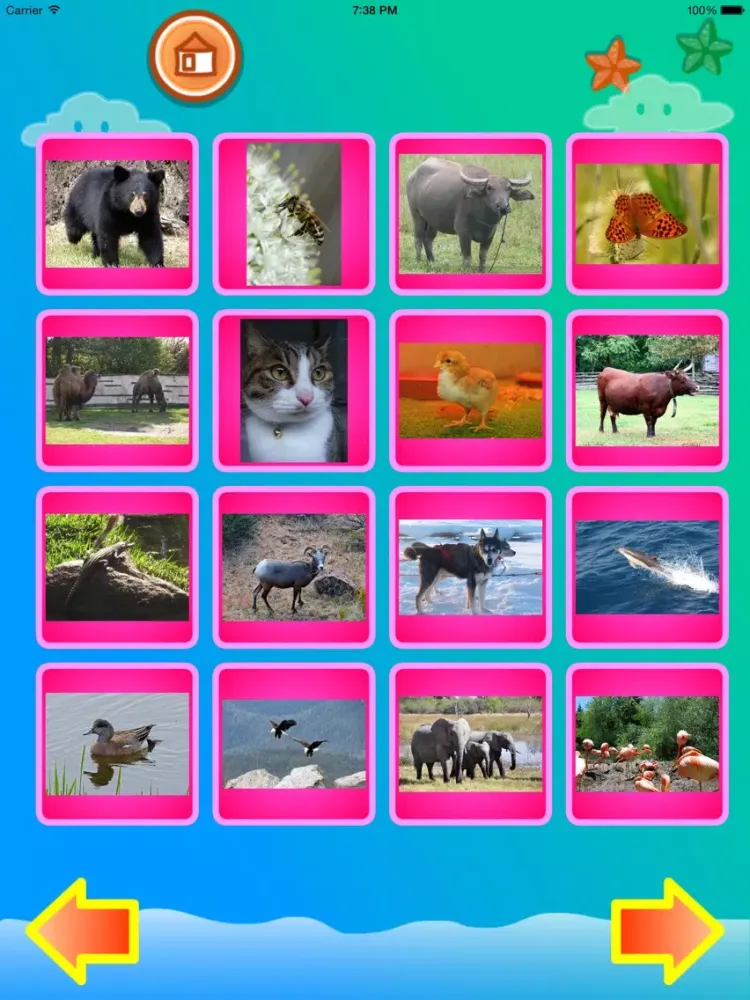 Toddler - Animals for kids iPad  Ekran Görüntüleri