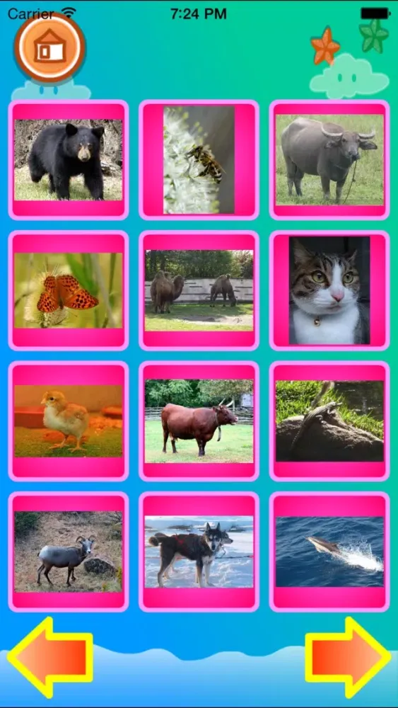 Toddler - Animals for kids Ekran Görüntüleri