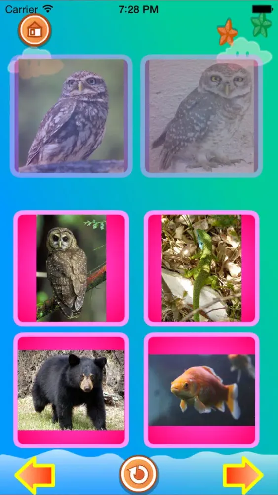 Toddler - Animals for kids Ekran Görüntüleri