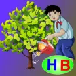 Ba bạn nhỏ trồng cây (Truyện thiếu nhi từ tác giả Hiền Bùi)