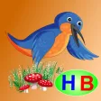 Kingfisher and woodpecker (story and games for kids) Kingfisher and woodpecker (story and games for kids)