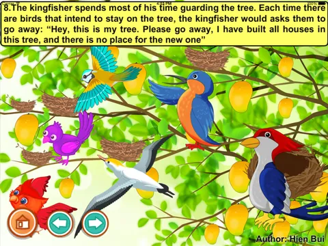 تصاویر Kingfisher and woodpecker (story and games for kids) iPad 