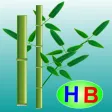 Câu chuyện Vì sao cây tre lại có đốt (Truyện thiếu nhi từ tác giả Hiền Bùi)