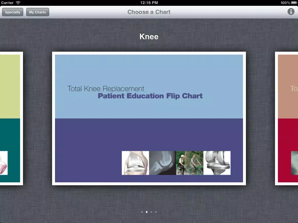 FlipChart Plus iPad 应用截图