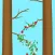 Vine Growth