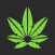 Cannabis Examiners