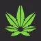 Cannabis Examiners