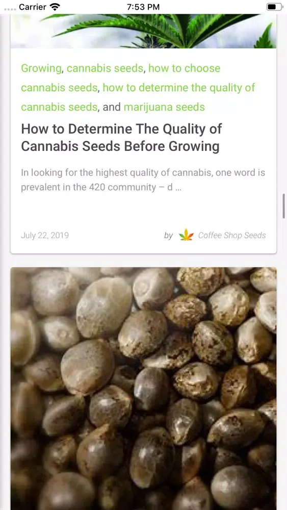 Скриншоты Cannabis Examiners