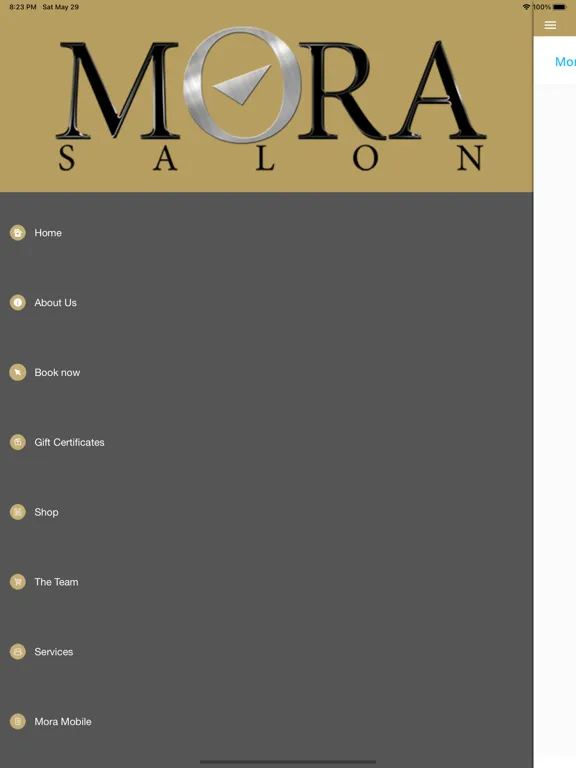 Mora Salon iPad 应用截图