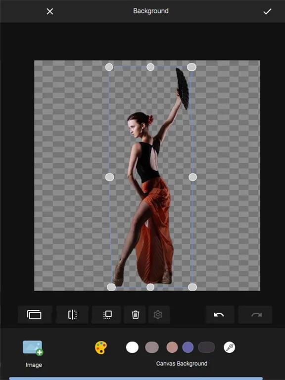 PhotoKit AI-powered editor iPad  Screenshots