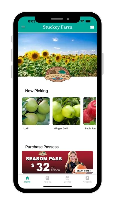 تصاویر Stuckey Farm Market