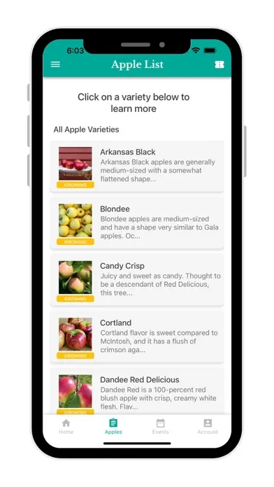 تصاویر Stuckey Farm Market