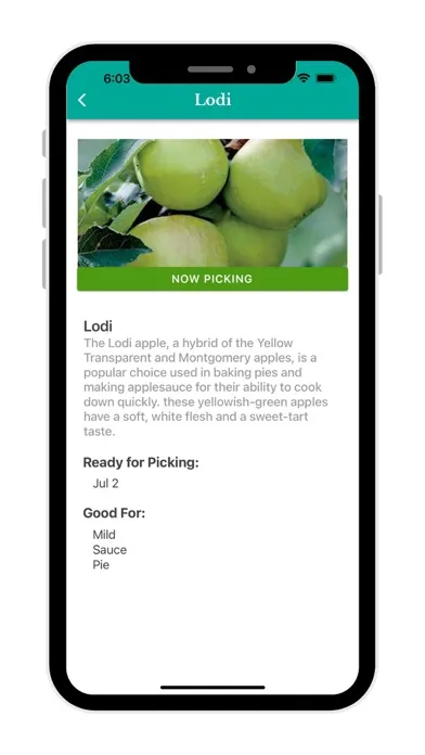 تصاویر Stuckey Farm Market