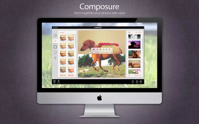 Composure 스크린샷