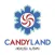 Christmas in Candyland