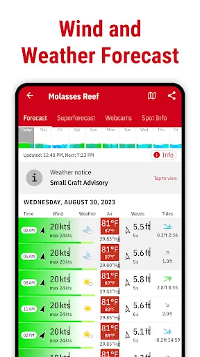 Windfinder Pro: Wind & Weather 스크린샷