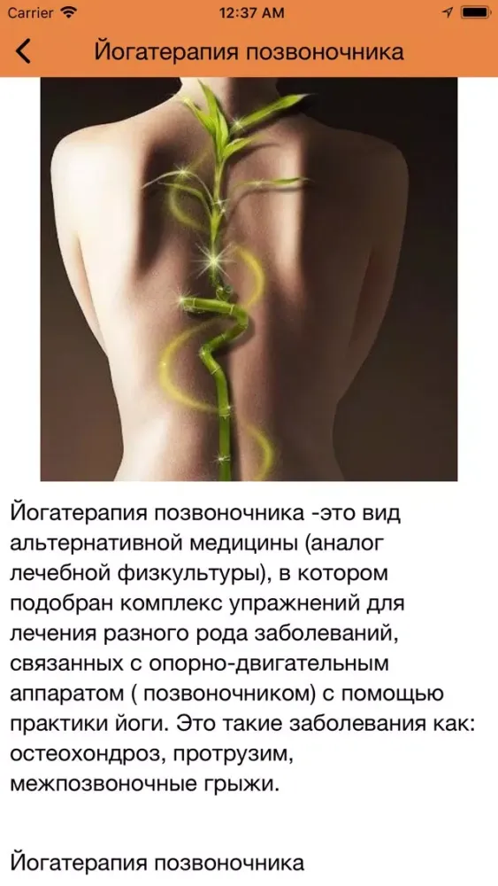 Screenshot di Йога студия Essence