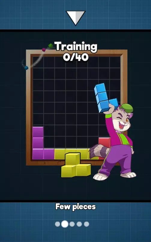 Ảnh chụp màn hình của block puzzle graft woody