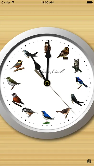 Скриншоты BirdClock