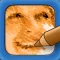 SketchMee Lite