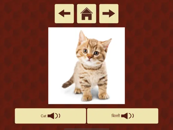 Capturas de pantalla de Kids Pre-School Learning iPad 