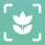 Plant ID Match: Identification