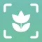 Plant ID Match: Identification