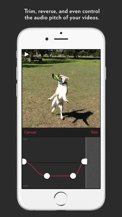 Slow Fast Slow - Control the Speed of Your Videos应用截图