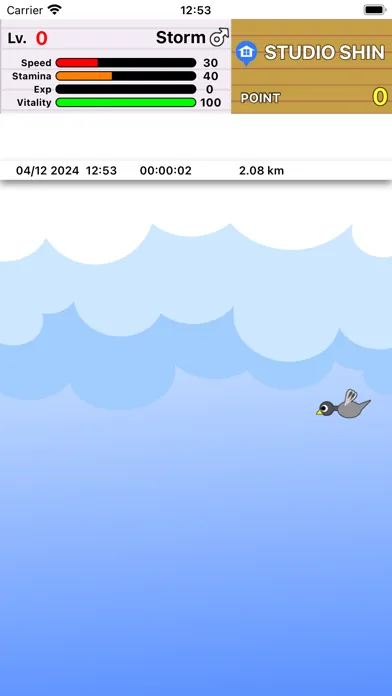 صور Race Pigeon