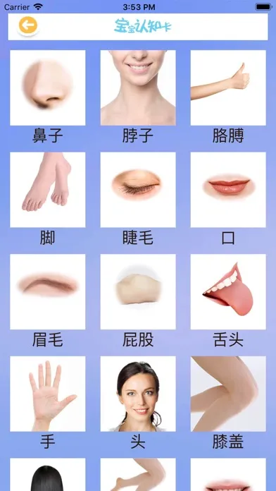 تصاویر 汪汪队长之儿童行为养成动画屋
