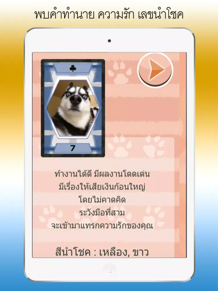 تصاویر ดูดวง ไพ่สัตว์โลกน่ารัก iPad 