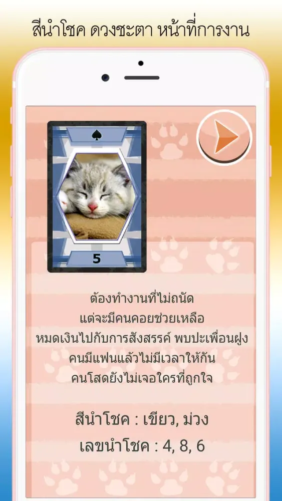 تصاویر ดูดวง ไพ่สัตว์โลกน่ารัก