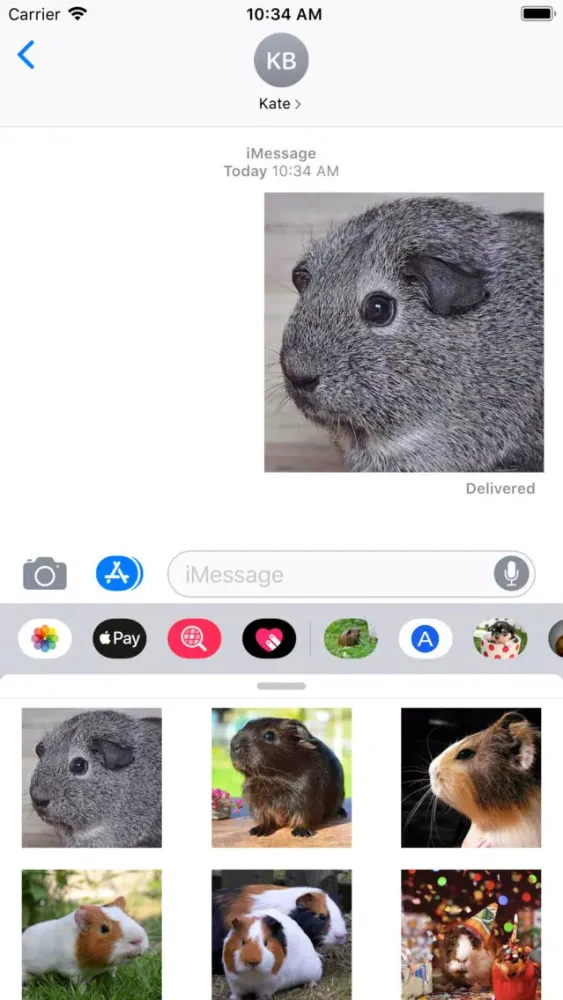 Ảnh chụp màn hình của Guinea Pig HQ - High Quality