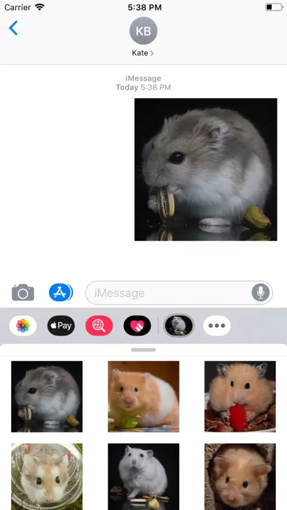 Hamster HQ - High Quality Hams应用截图