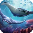 Top Fish: Ocean Game