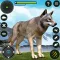 Wolf Simulator Animal Games 3D