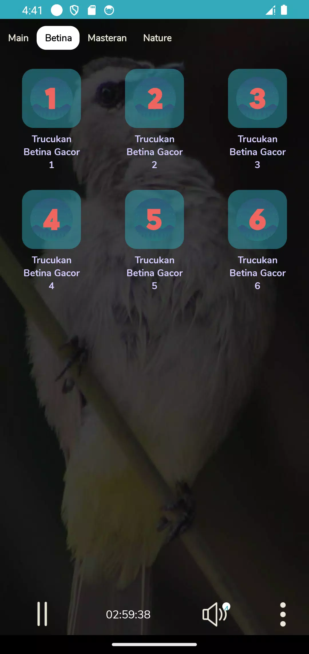 Pancingan Suara Trucukan Gacor Screenshots