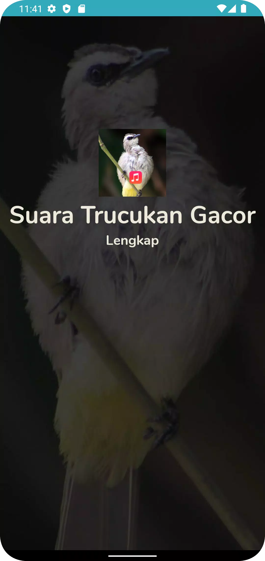 Pancingan Suara Trucukan Gacor Screenshots