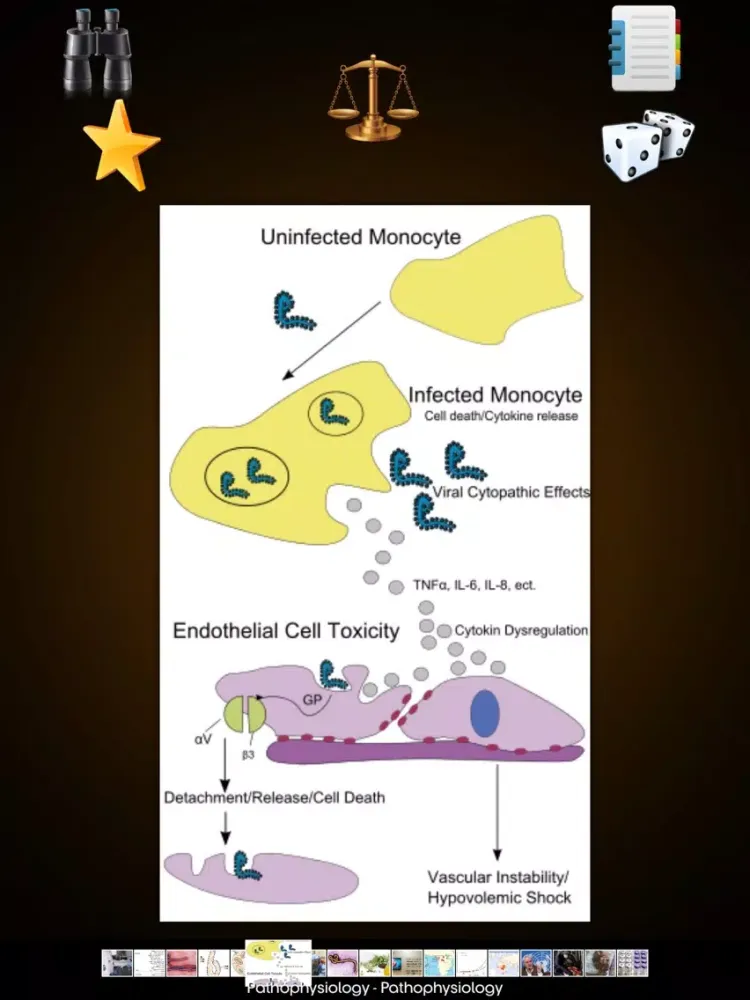 Tangkapan layar Ebola Disease Guide ! iPad 