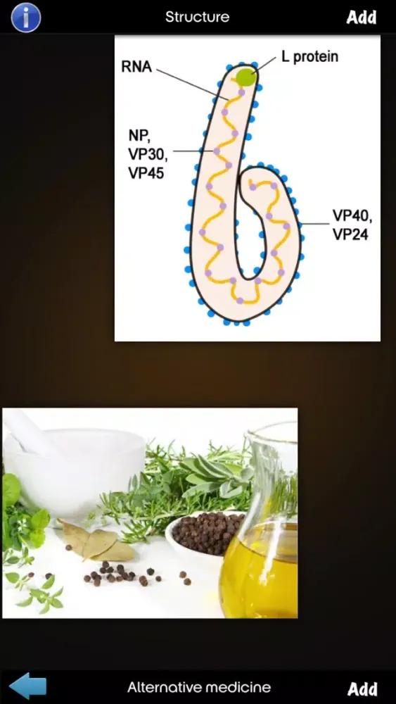 Tangkapan layar Ebola Disease Guide !
