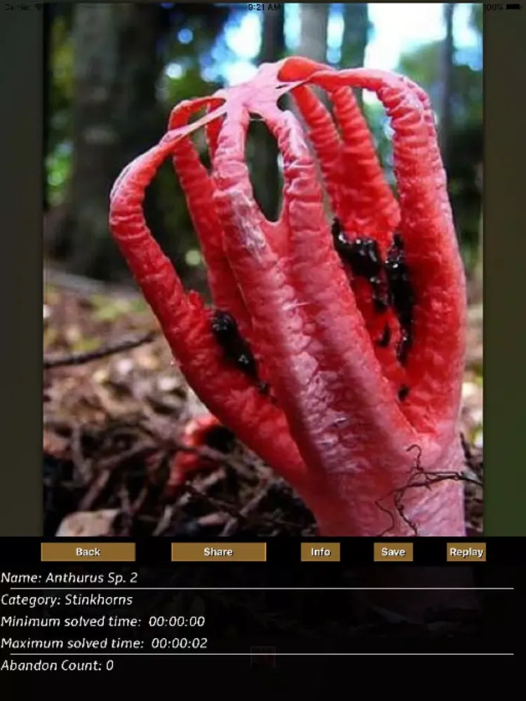 Captures d'écran de Mushrooms Jigsaw Puzzles iPad 